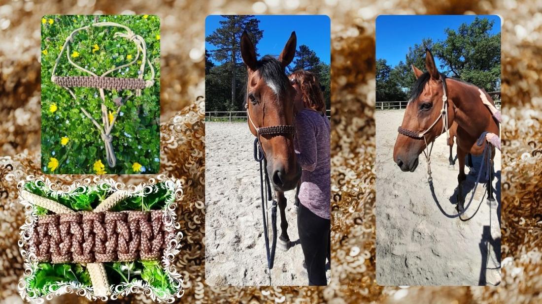 Licol land of hermes