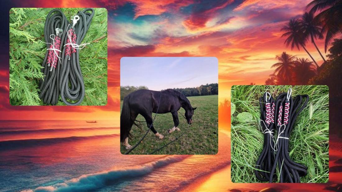 Longue rêne harmonie